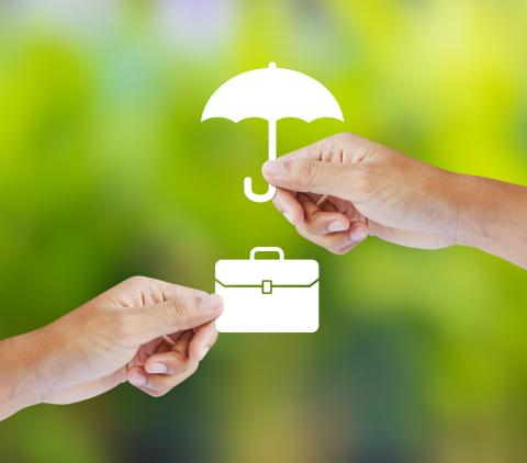 Agence traduction assurance